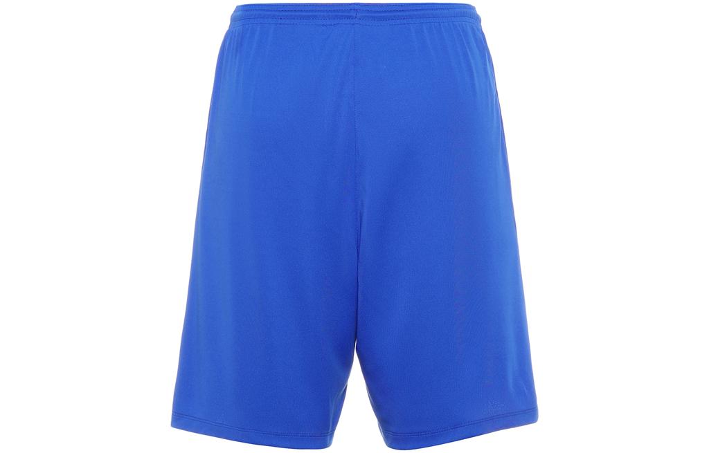Nike Casual Shorts Men's Blue Thin BV6855-463