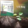 Plant Root Stimulator Promotes Root System Development Seedling Root Strengthener Enhances Vegetable Root Growth