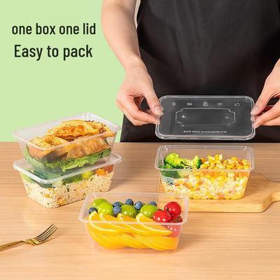 Disposable Rectangular Plastic Food Containers with Lids