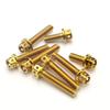 Com Furos Titanium Parafuso M6 M8 Parafusos Sextavados Alta Qualidade Titânio Flange Motocicleta