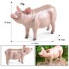 Oenux Farm Model Simulation Goose Duck Pig Hen Cow Horse Sheep Action Figures Poultry Animals Figurine Miniature Cute Kids Toy