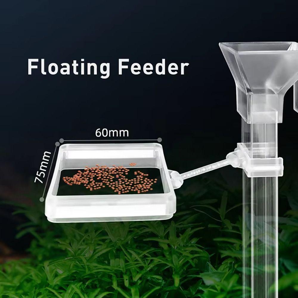 1Pcs Transparent Aquarium Feeder Feeding Accessories Tools Fish Shrimp Feeder