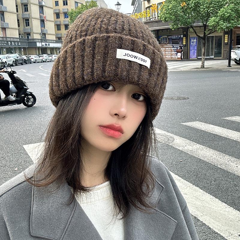 Luochi Knitting Plain Wool Knit Hat - Thick, Warm, Versatile Couple's Hat for Autumn & Winter Korean Style