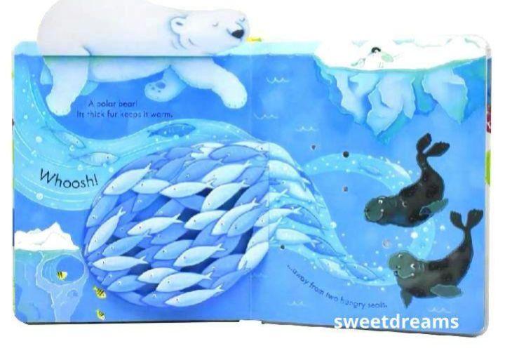 [USED] Usborne Peep Inside the Sea Pop-up Book