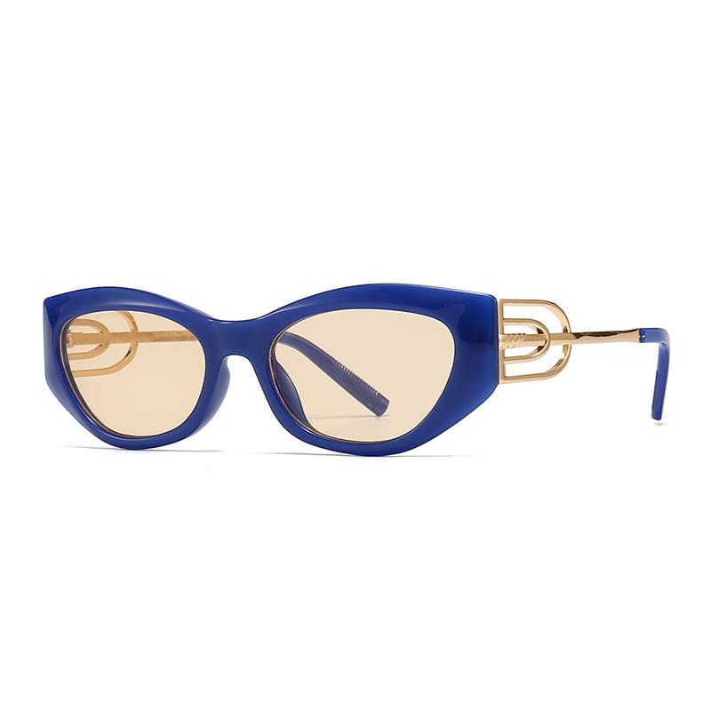 Angular Cat-Eye Sunglasses Modern Retro Temples with Jumping Shape Decorative Sunglasses for Women Fashion Lh