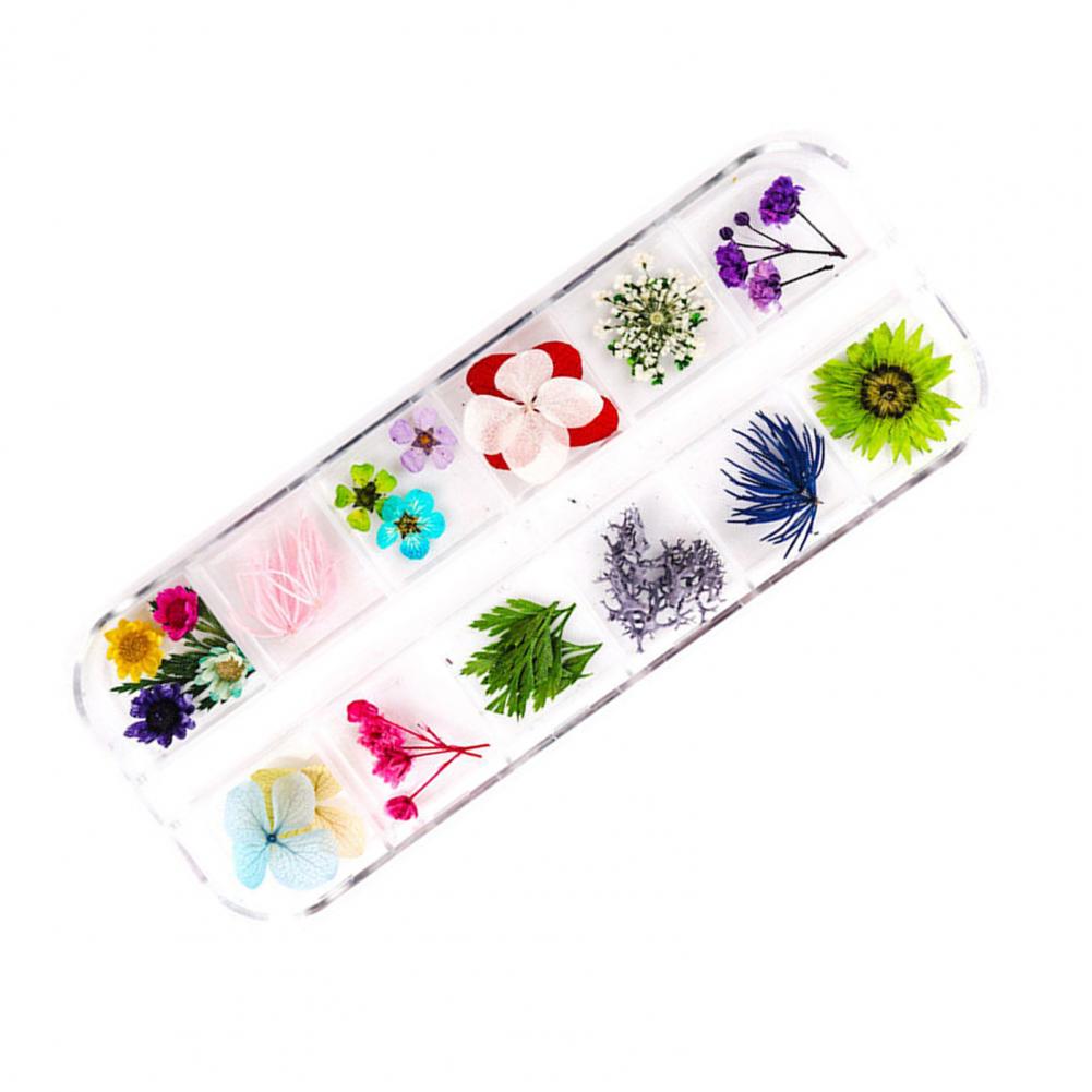Dried Flower Nail Decoration Nail Art Accessories Vibrant Floral Nail Art Supplies 12 Colors of Natural Dried for Manicure