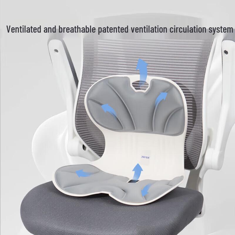Jia Ao Ergonomic Office & Car Lumbar Support Cushion