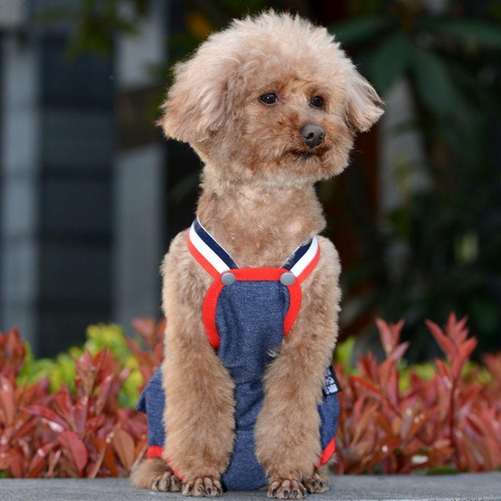 Diaper Pet Physiological Pants Underwear Cat Shorts Puppy Supplies Dog Denim Overall  Spring