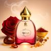Shanaya Perfume for Men & Women | Arabic & French Blend | 50ML Luxury Fragrance