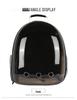 Panoramic Pet Backpack: Portable, Transparent Double Shoulder Carrier for Cats