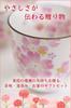 Birthday Present Tea Cup Mino Ware Gift Wrapped Made In Japan Hana Matsuri Rice Bowl Tea Cup with Tenpo Chopsticks Card (Message B)