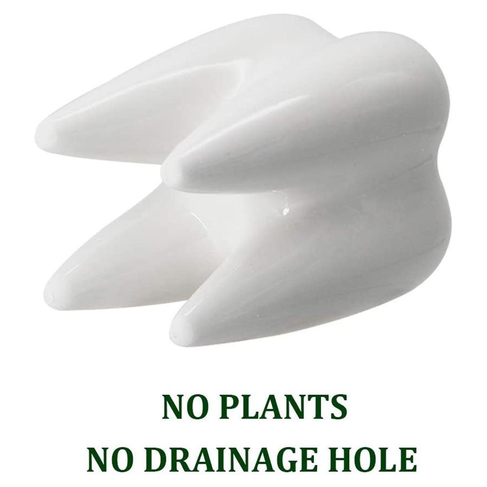 1Pcs Dente em forma de vaso de cerâmica para mesa, decoração para casa, vaso de cacto fofo, vaso de flores, suculentas, viveiro de plantas, bacia de mesa Va L5L0