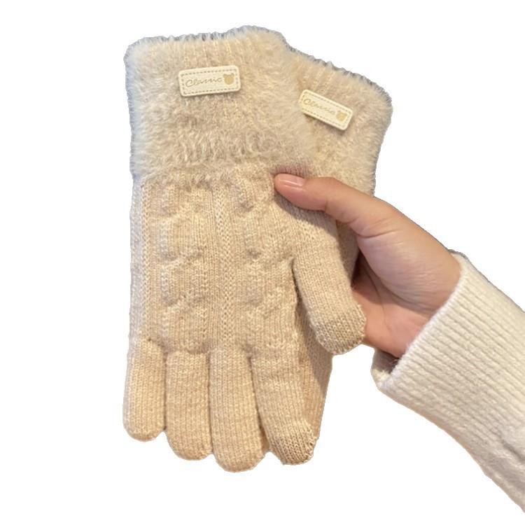 Winter Korean Version of Ins Knitted Wool Gloves for Female Students Riding Thickened Warm Double Layer Touch Screen Gloves