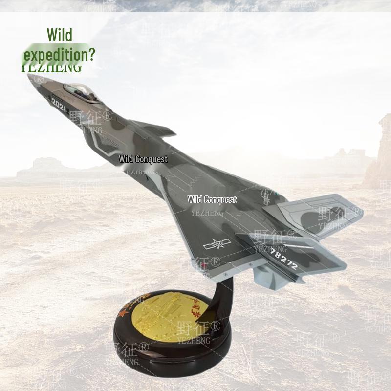 J-20 Fighter Jet Alloy Model