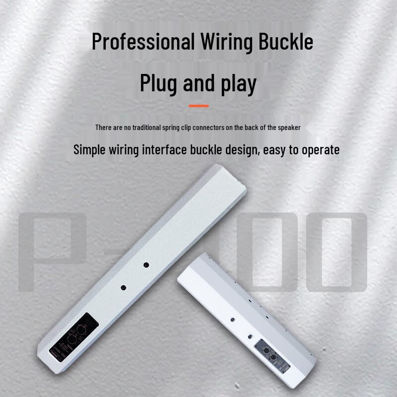Weishu Professional Indoor Line Array Speakers & Brackets