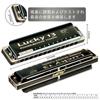 East top Harmonica Blues Harmonica 13 Hole C Key Jazz Professional Adults Children Study Practice Brass Cover Canvas Case Lucky13 (PowerBender-C)