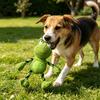 Pet Toy Cartoon Duck Frog Design Dog Chew Toy with Sound Feature Bite-Resistant Tug-of-War Interactive Teeth Grinding Dog Toy