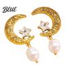 Retro Crescent Moon Earrings 1 Pair Women Ear Pin Structure