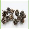 DIY Christmas Tree Decor: Bleached Pine Cones & Dried Flowers with Cedar and American White Pine Cones