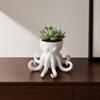 Porch Flowerpot 3D Printed Octopus Vase, Shaped Flowerpot, Creative Planter Pot, Plant Pot Funny Animal Statue for Indoor Outdoor Plants Garden