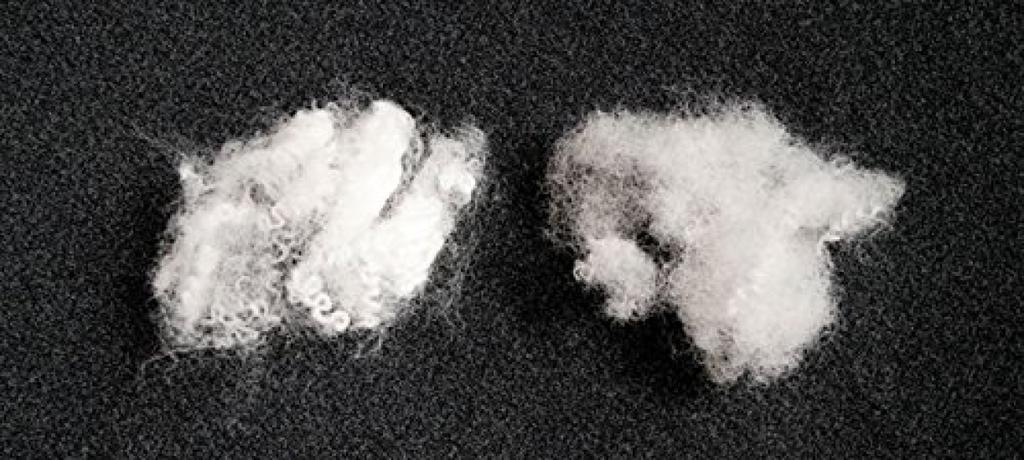 Body Pillow Contents withAQUA 160x50cm Made In Japan Fres Original Product…