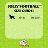JollyPets Jolly Football Orange 20.32cm