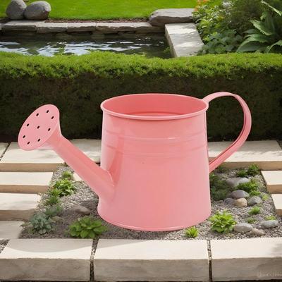 Pflanzen Gießkanne 1L Langer Ausguss Gießkanne Für Pflanzen Blumenarrangement Eimer Metallvase Für Gartenarbeit Im Freien Und Innen