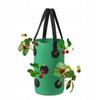 Hanging Pot Bag Chicken Tomatoes Strawberries Strawberries Pockets 35