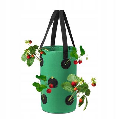 Hanging Pot Bag Chicken Tomatoes Strawberries Strawberries Pockets 35