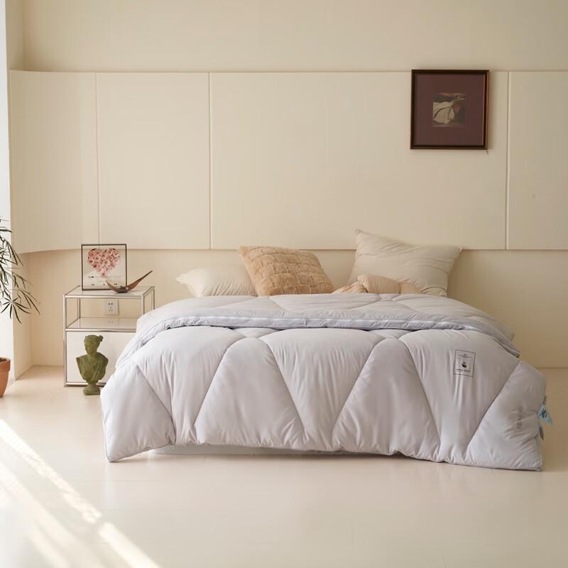 

Southern Life Derong Warm Faux Goose Down Winter Quilt