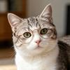 Pet Sunglasses Cats Dogs - Cute Cartoon Style Goggles Plastic Accessories In Multiple Colors Frames