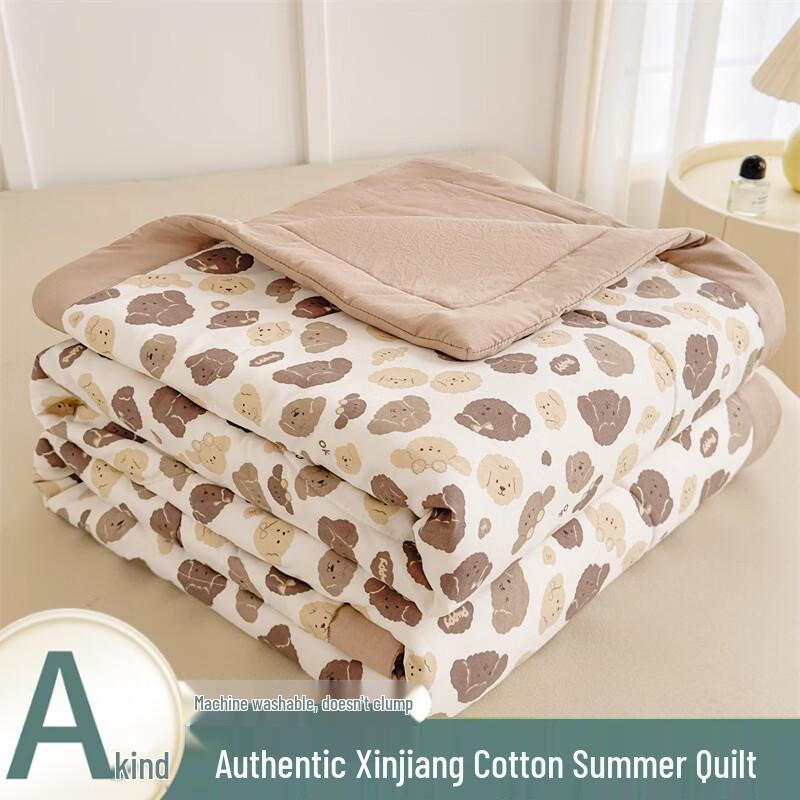 Washed Cotton Xinjiang Summer Quilt