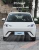 BYD Seagull Insect-Proof Anti-Catkin Grille Protection Trim