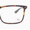 Puma Galleria Puma Frame Pu0096o 002 Square Acetate Men S woMen S glaSSeS