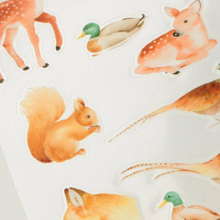 Transparent Stickers - Animals