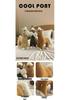 Handsome Little Horse Plush Toy: Long-Legged Foal Doll Cushion—Comfortable Cloth Doll for Children