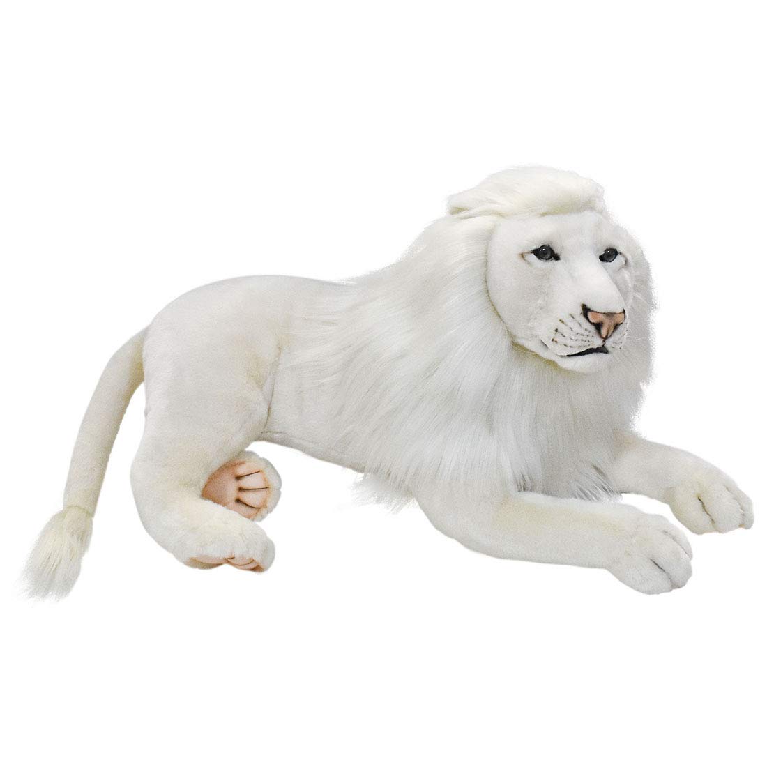 

White Lion 65 BH6364