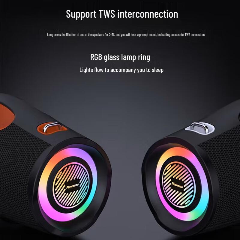 Newman BT100 Outdoor Karaoke Bluetooth Speaker