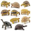 Realistic Turtle Action Figure Lifelike Amphibian Reptile Model Ornaments For Children Gifts Home Decoration