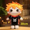 1ks 20/30cm Kawaii Haikyuu Plyšové hračky Krásné anime Hinata Syouyou Kageyama Tobio Vycpané měkké panenky Klíčenka Boys Dětský Vánoční dárek