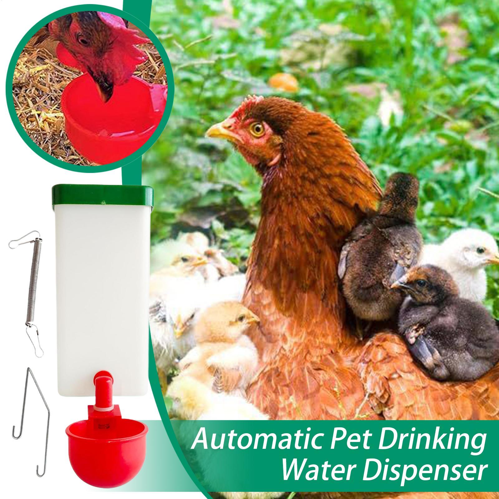 

Автоматическая поилка для птиц, кормушка для попугаев, диспенсер для воды, 1000 мл, большой емкости, питьевой фонтанчик, аксессуары для клетки для морских свинок CHINA