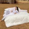 Mercury Evelyn Antibacterial Australian Wool All-Season 2-in-1 Duvet