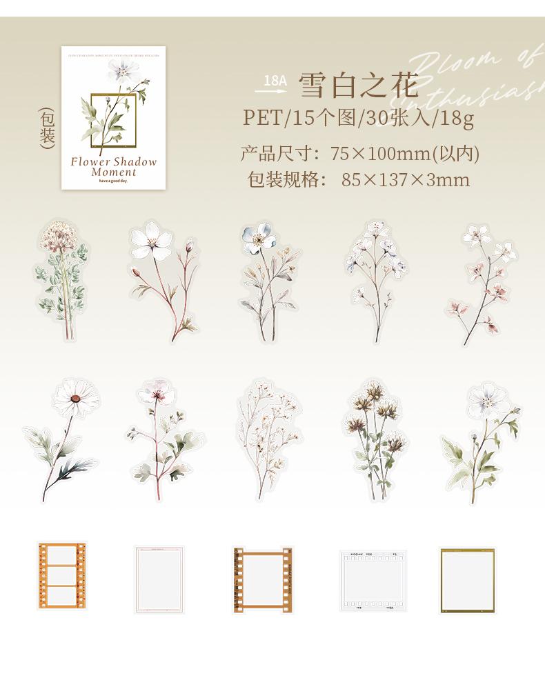 30 Pcs Film and Flowers Plant Stickers Pack Creativity PET Decorative Sticker for DIY Diary Scrapbooking Junk Journal Supplies