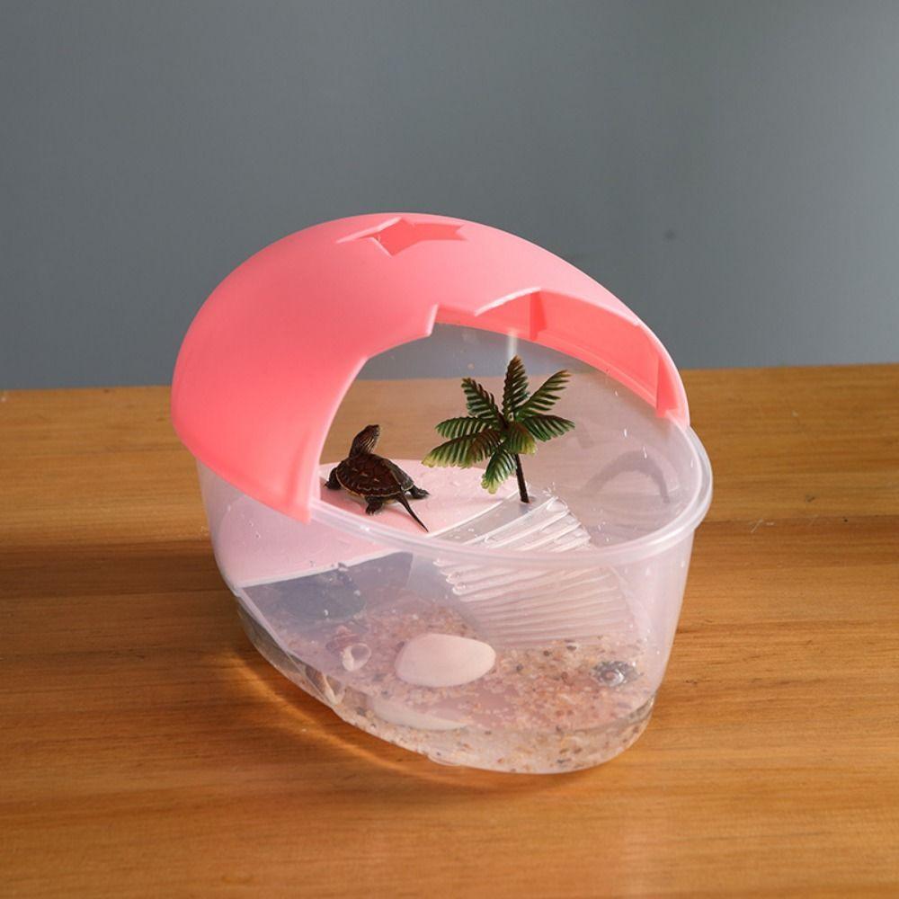 With Cover Turtle Hydroponic Box Recyclable Egg-shape Container Box  Terrarium Habitat