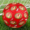 Hungarian Football Emblem Size 5 Soccer Ball,Indoor/Outdoor Suitable for Training Matches Tournaments Practice Games Perfect Gift for Fan