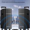 SANSUI G26 Outdoor High-Power Bluetooth Karaoke Trolley Speaker CN plug (adapter included)