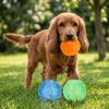 3Pcs Bite Tough Dog Chew Ball TPR Hollow Pet Teething Toy Pet Interactive Ball  Pet Interaction