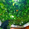 Hanging Green Pothos Vines - Artificial Leaf Garland for Ceiling and Pipe Decor