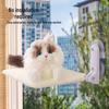 Window Suction Cup Cat Hammock and Sunbathing Bed