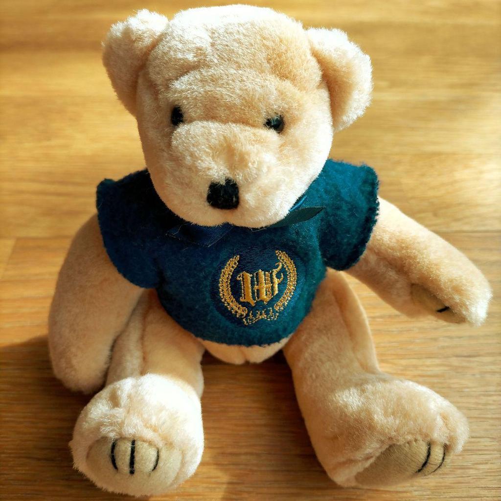 [USED] Teddy Bear Plush Toy